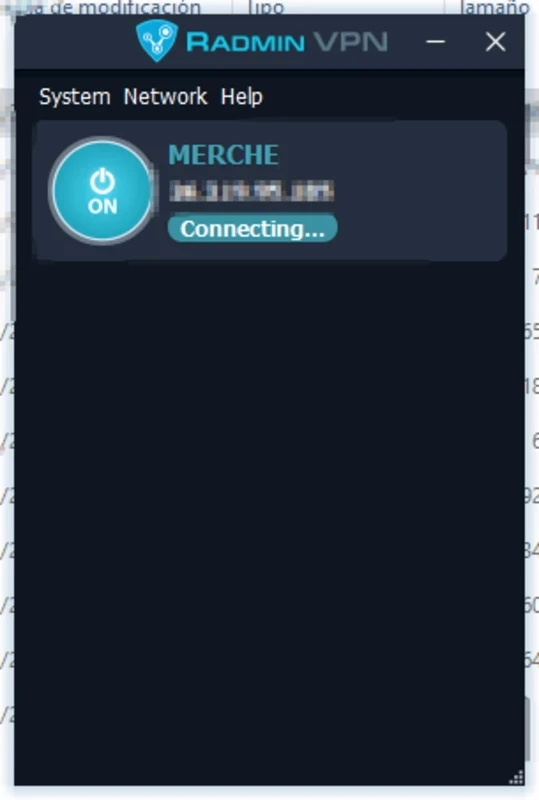 Radmin VPN — Screenshot 1